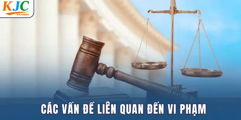 Các vấn đề vi phạm điều khoản