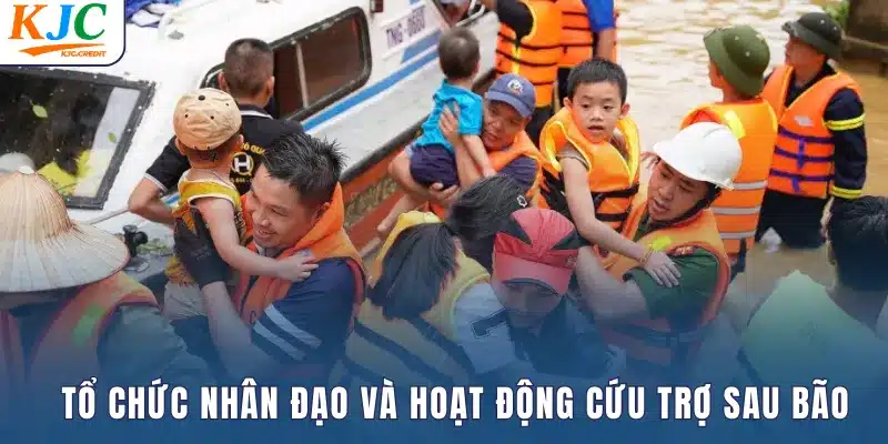 Tổ chức nhân đạo và hoạt động cứu trợ sau bão